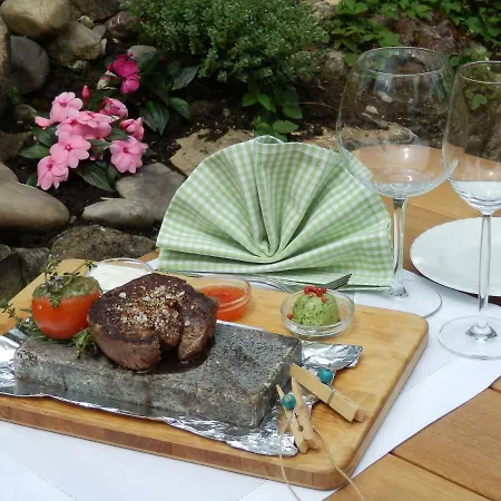 Gasthuis Loewen, Heitersheim